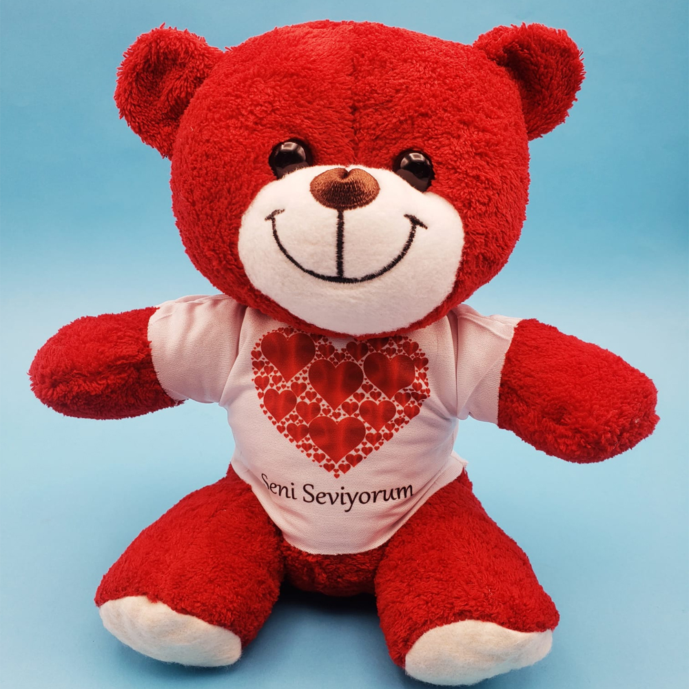 Kalpli Seni Seviyorum Tisortlu Kirmizi Ayicik