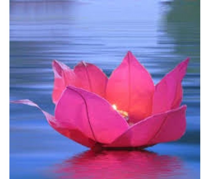 Nilufer Su Cicegi Su Feneri