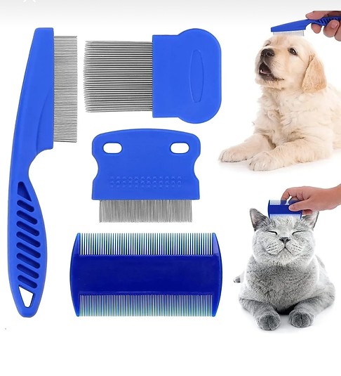 Bit Pire Taragi 4 lu Set