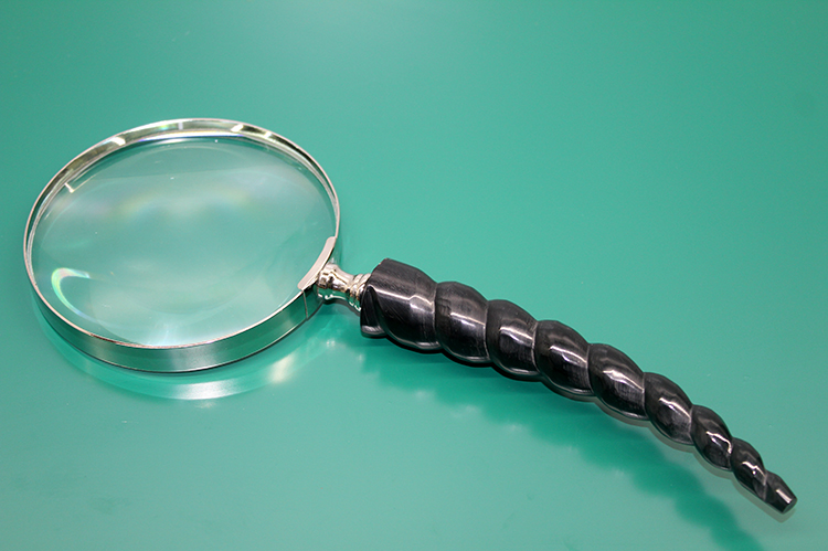 Boynuz Pirinc Buyutec