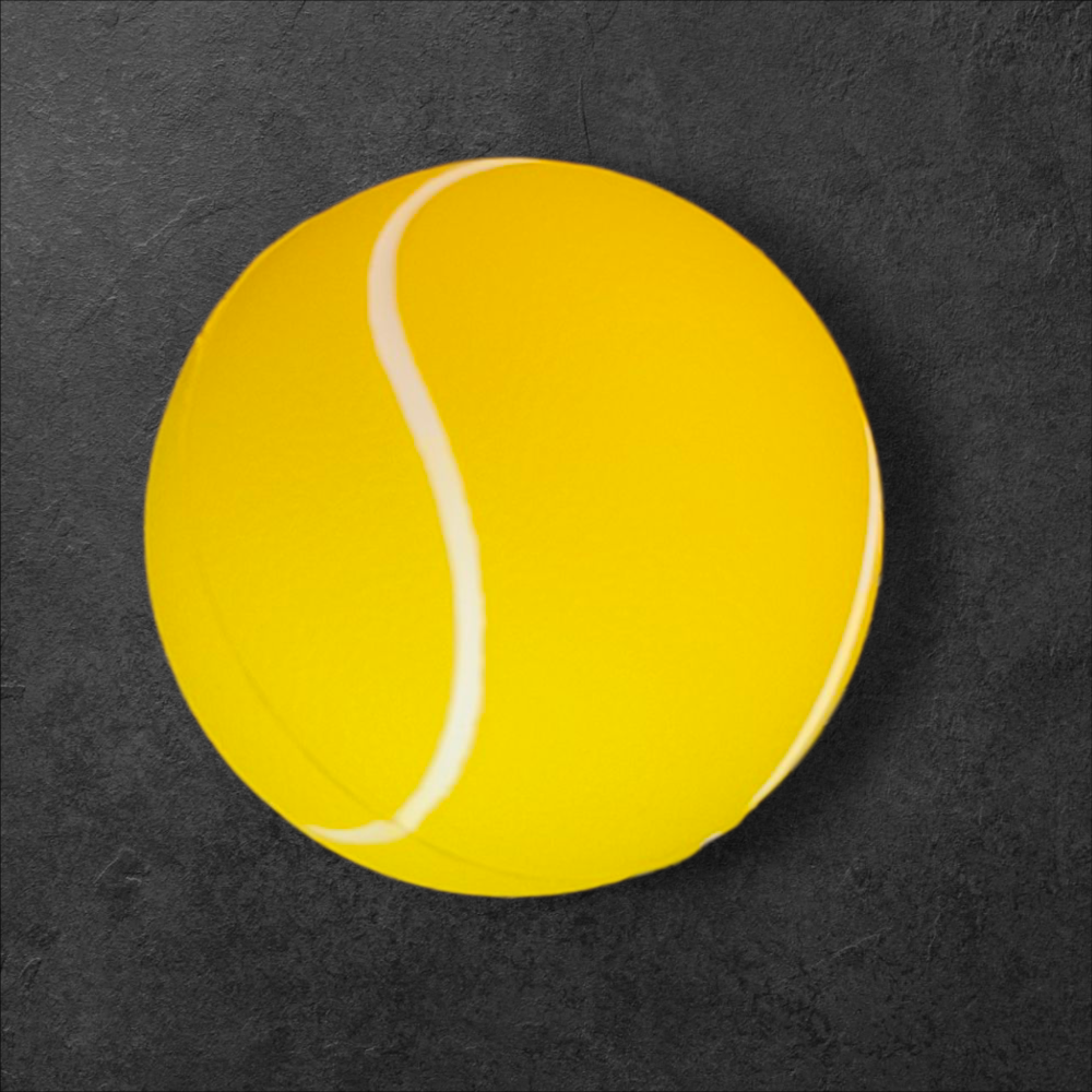 Evcil Hayvan Oyun Topu Mediun