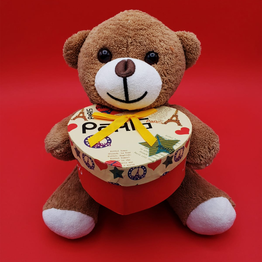 Kutulu Kahverengi Ayicik