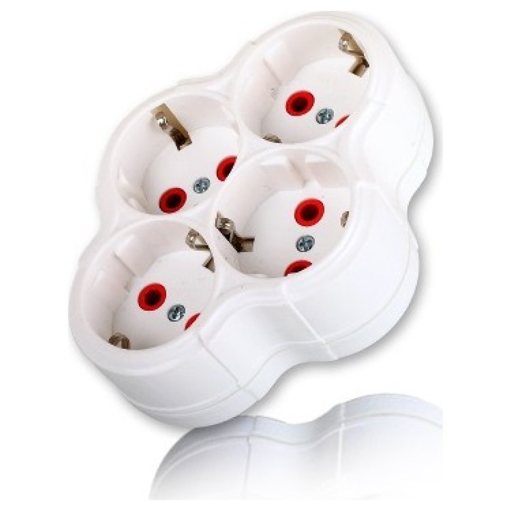 Dortlu Toprakli Fisli Priz