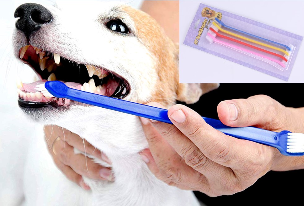 Cift Tarafli Kedi Kopek Dis Fircasi 4 lu set