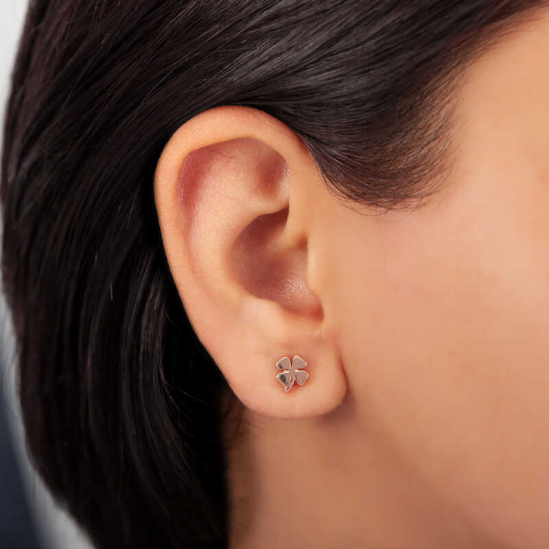 Gumus Rose Yonca Civili Kadin Kupe