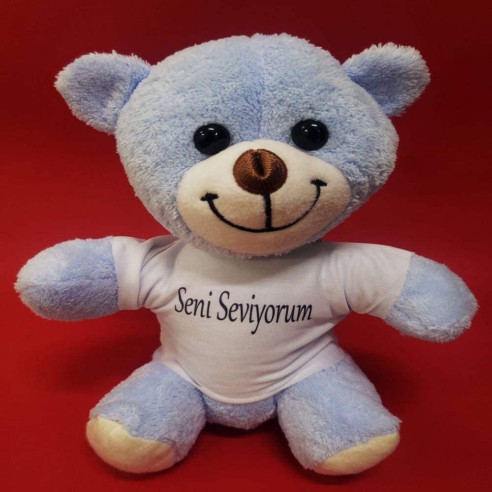 Mavi Seni Seviyorum Tisortlu Ayi